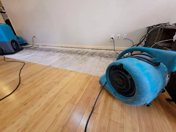Professional Sewage Cleanup technician working in Reseda, CA